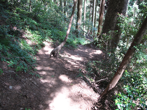 20140517hike (287)